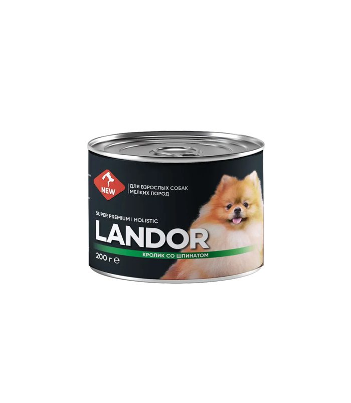 24 24